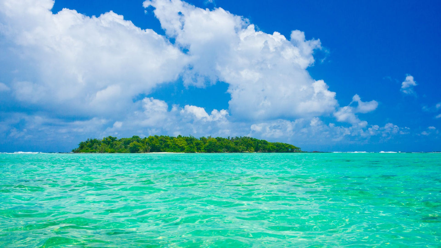 Middle East Cruise: Seychelles, Madagascar, UAE, Maurtius Cruise