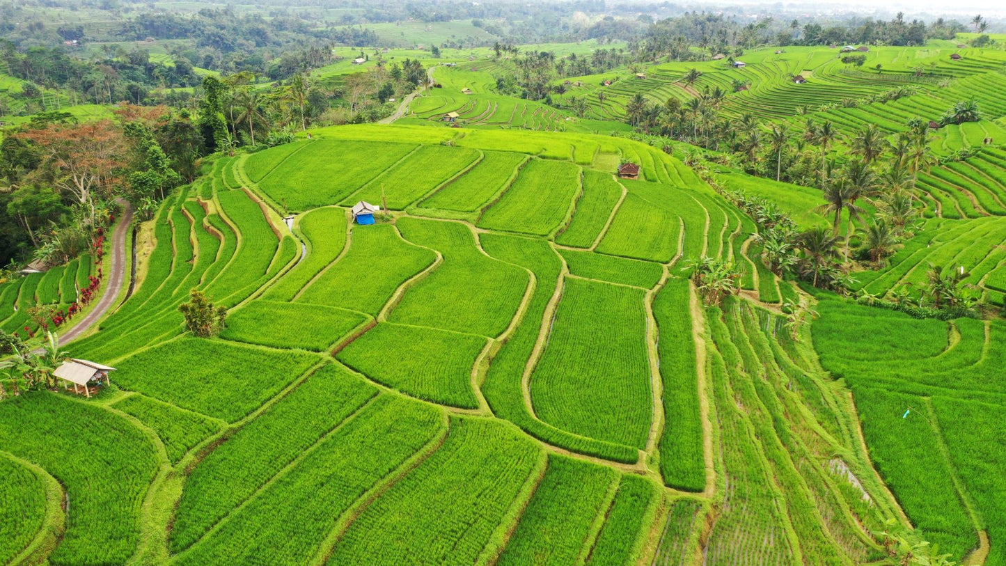 RIMBA by AYANA Bali and AYANA Resort Bali