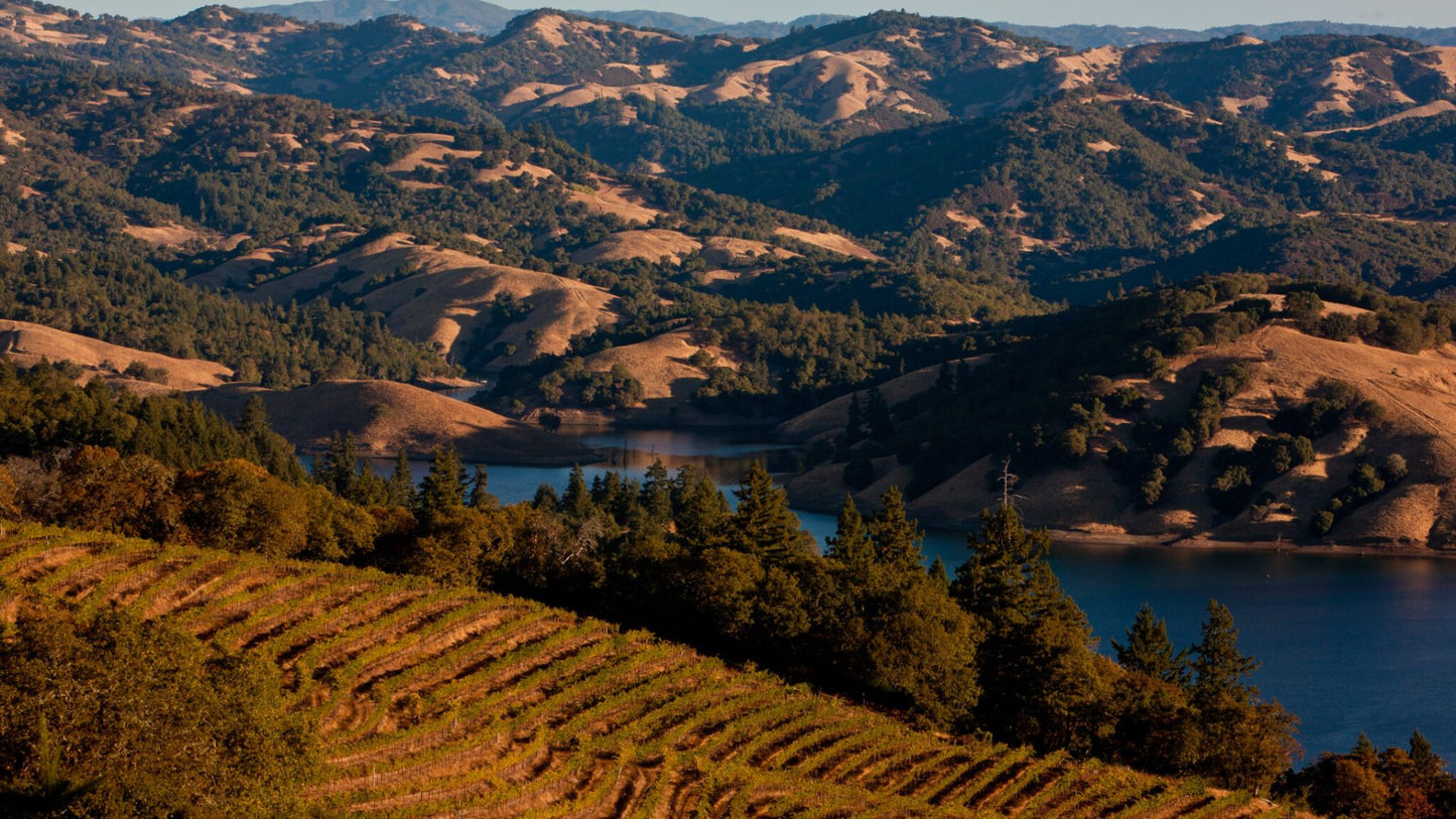 Visit California: 10 Nights in North California