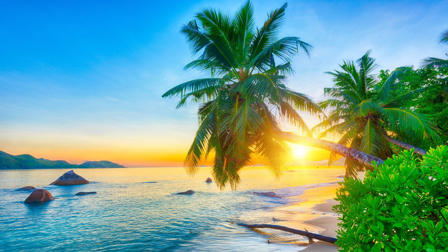 Middle East Cruise: Seychelles, Madagascar, UAE, Maurtius Cruise