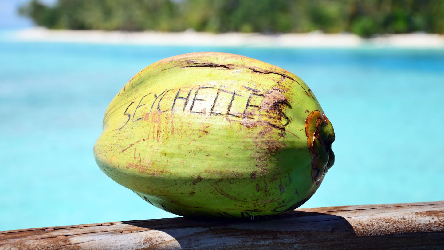 Middle East Cruise: Seychelles, Madagascar, UAE, Maurtius Cruise