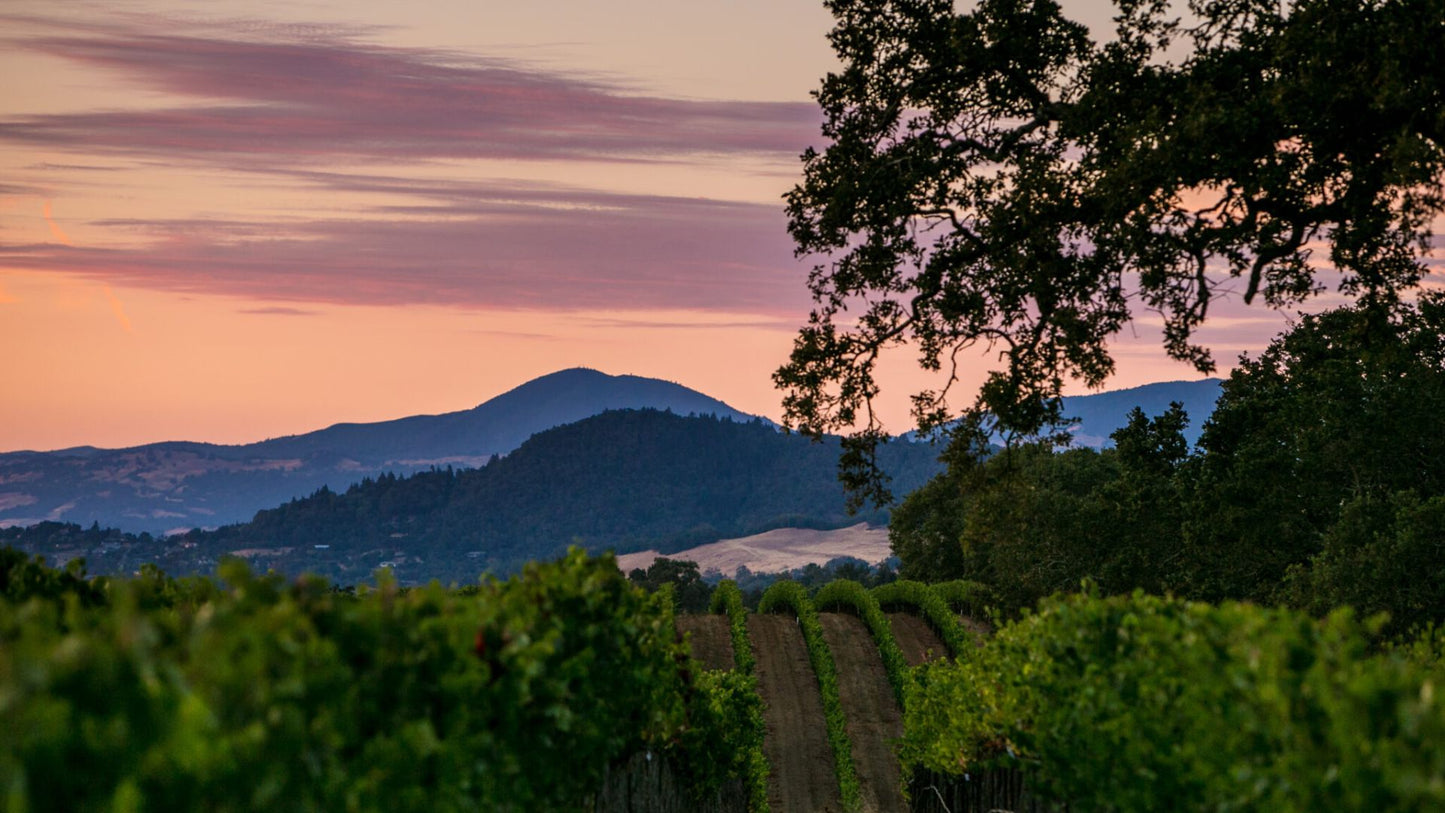 Visit California: 10 Nights in North California