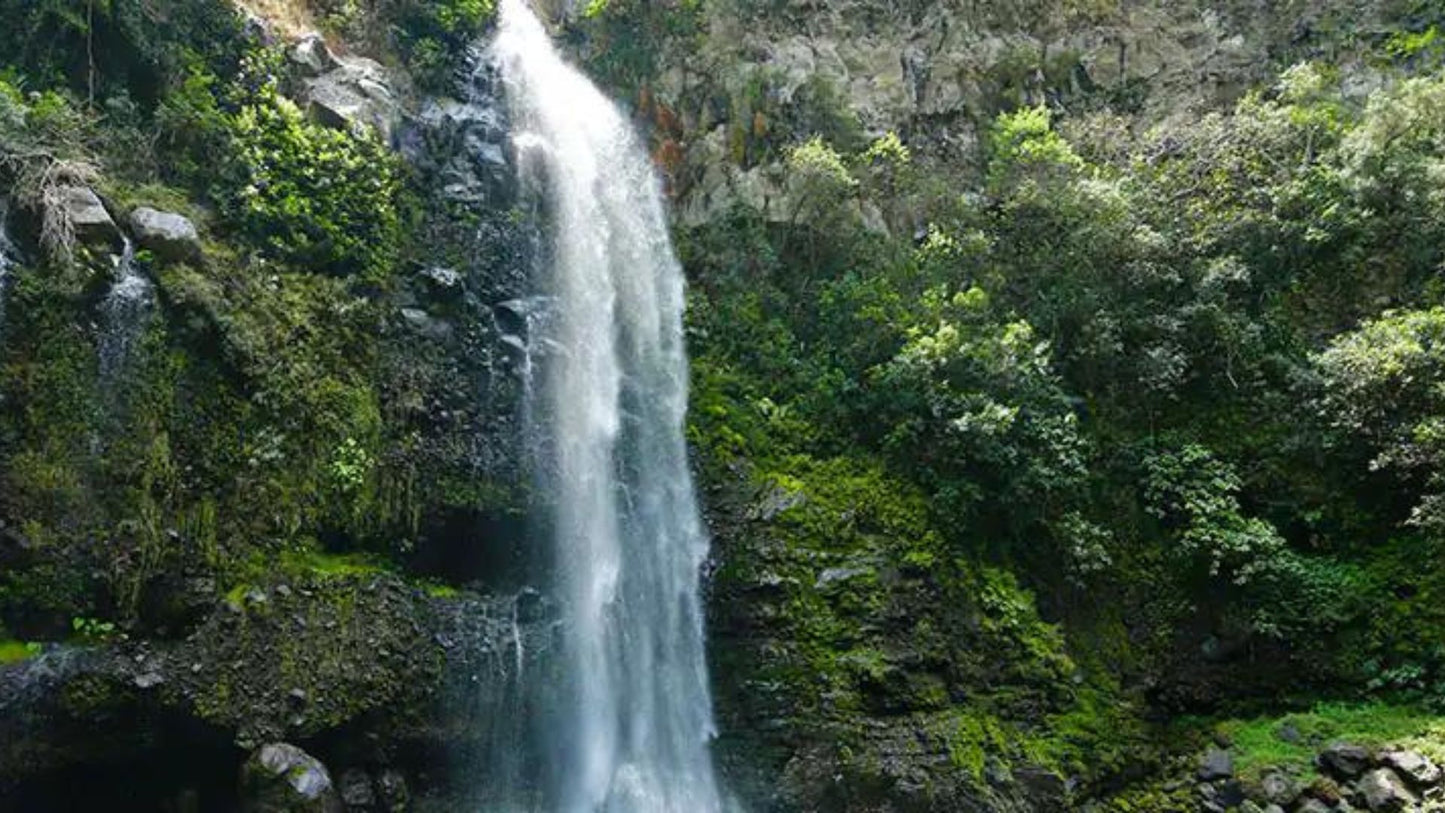 Middle East Cruise: Seychelles, Madagascar, UAE, Maurtius Cruise