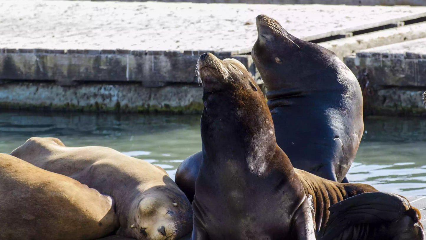 Visit California: 10 Nights in North California