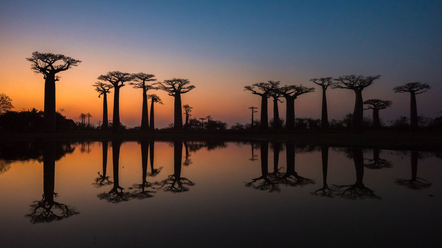 Middle East Cruise: Seychelles, Madagascar, UAE, Maurtius Cruise