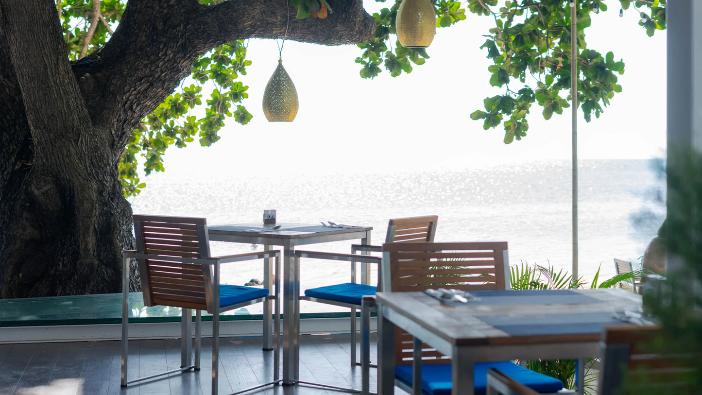 Explorar Koh Phangan - Adults Only 16+