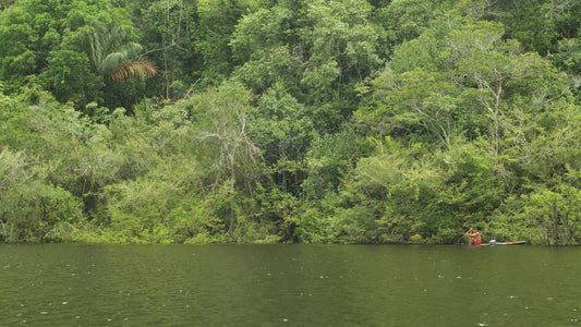 Canoe on an Amazon rainforest river in Amazonas, Brazil