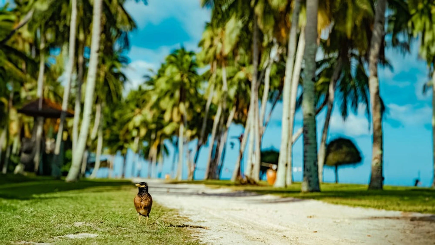 Kuala Lumpur, Penang & Langkawi